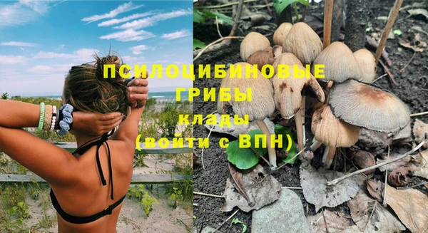мет Инсар